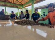 Ekspor Udang RI Ditolak AS, Pengusaha Banten: Pemerintah Harus Bergerak Cepat